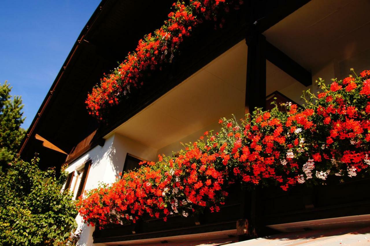 Pension Appartement Santl Anterselva di Sotto Exteriér fotografie